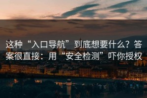 这种“入口导航”到底想要什么？答案很直接：用“安全检测”吓你授权
