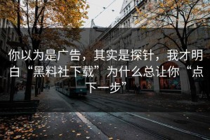 你以为是广告，其实是探针，我才明白“黑料社下载”为什么总让你“点下一步”