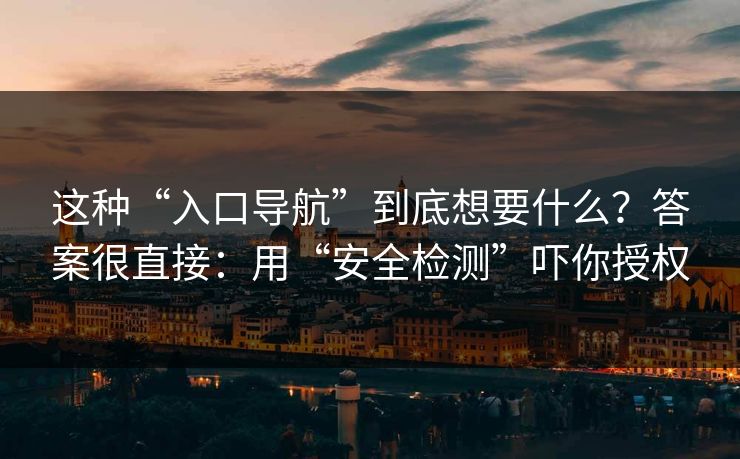 这种“入口导航”到底想要什么？答案很直接：用“安全检测”吓你授权